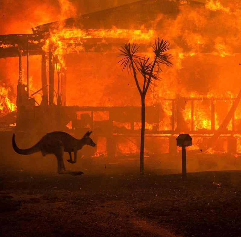 How we can all help in Australia's bushfire crisis